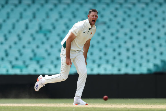 In the frame: Tasmanian all-rounder Beau Webster could replace Mitch Marsh for the Adelaide Test.