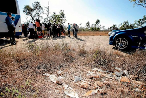 Dead fish in the scrub as Opposition Leader Tony Abbott makes a roads announcement in Townsville.