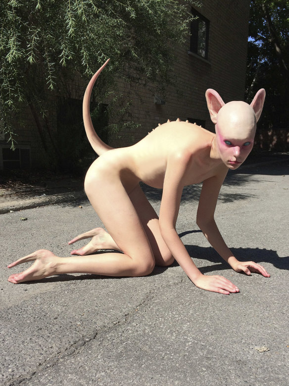 Fecal Matter, Meow, August 2018. 