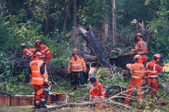 Police and SES returning for second day of a large-scale forensic search in bushlands at Kendall.