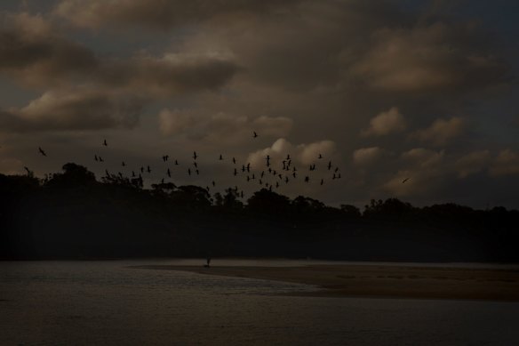 Bastion Point Beach. 