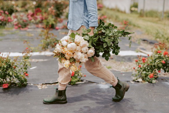 In their book <i>Secrets from the Flower Farm</i>, Rebecca Starling and Christine McCabe detail the “serious rose revival” in floristry.