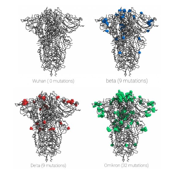 Omicron variant mutations comparison.