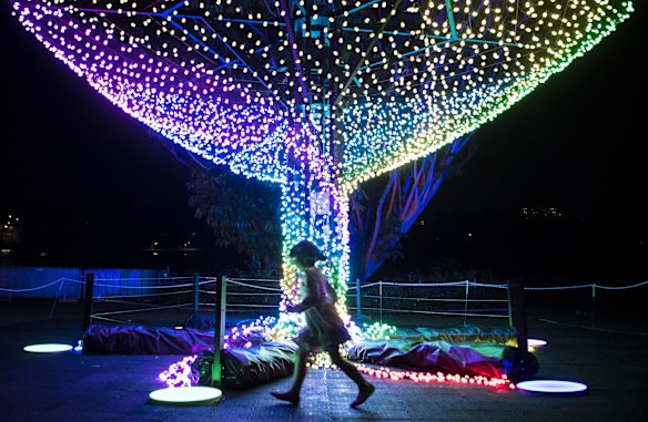 Vivid in the Royal Botanic Gardens.