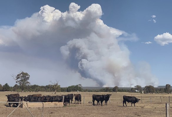 Bushfire burning south of Rosedale.