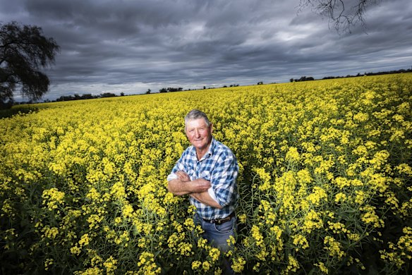 Wahring farmer Frank Deane in his canola field. Farmers are warning tourists against trespassing on farms to snap selfies in canola fields because of renewed concerns that amateur photographers risk spreading livestock diseases.