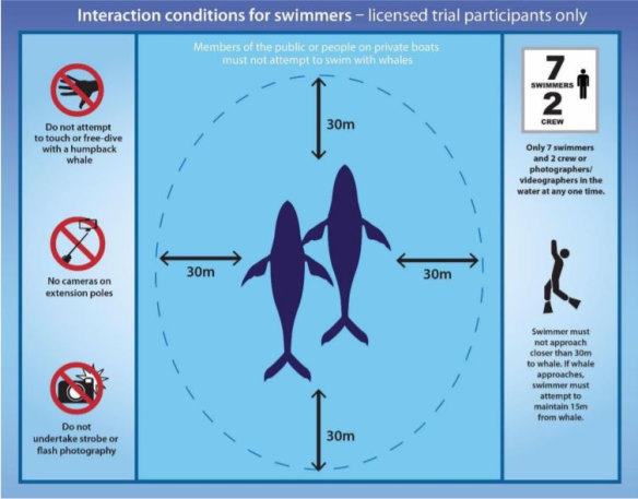 Swimmers are required not to approach within 30 metres of a humpback whale. 