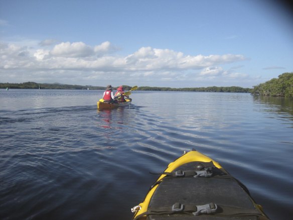 From cycling along coastal tracks to wildlife watching, here are 20 of the best reasons to visit Port Stephens.