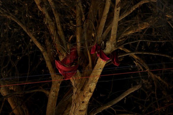 The torn dress of a victim hangs in the tree above the location of a recent bombing that killed several people on Karada street in the Karada area of Baghdad.