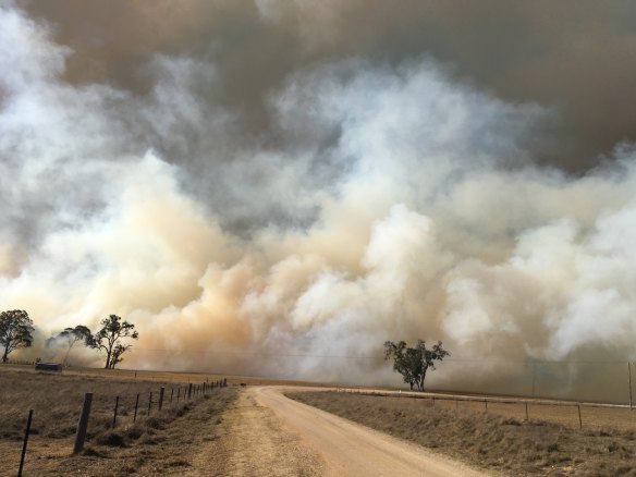 A bushfire burns near Tenterfield in northern NSW.