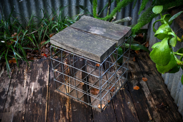 Wells has made furniture with reinforcement mesh and found timbers