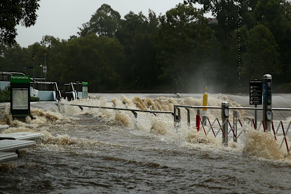 Parramatta ferry wharf overflows and floods.