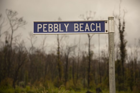 Pebbly Beach track, Mallacoota