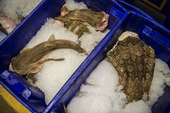 Gallery: Early morning at the Sydney Fish Markets