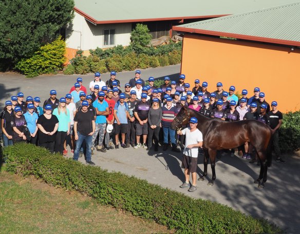 Queen of the track: Winx with the entire Chris Waller racing team.