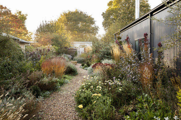 This year’s Autumn opening of a Victorian garden designed by Tim Pilgrim of TP Gardens highlighted the beauty of seasonal change.
