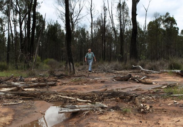 Tony Pickard, a local farmer in the region near the proposed Santos coal seam gasfield near Narrabri in northern NSW.