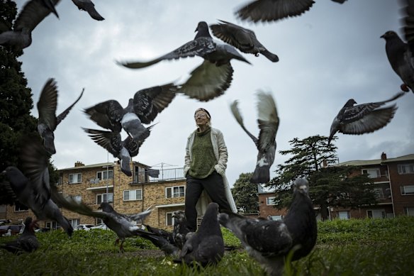 For five years, public-housing resident Clare Hanson has fought a losing battle against the Andrews government and its multimillion-dollar plan to redevelop the Ascot Vale housing estate in Melbourne’s north-west. 