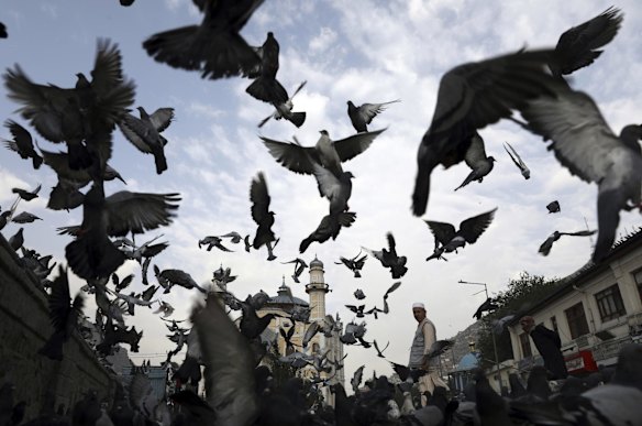 Pigeons fly outside Shah-Do Shamshira Mosque in Kabul, Afghanistan.