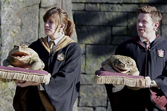 Members of the Hogwarts Choir sing for guests at The Wizarding World of Harry Potter at Universal Orlando theme park in Orlando, Florida.