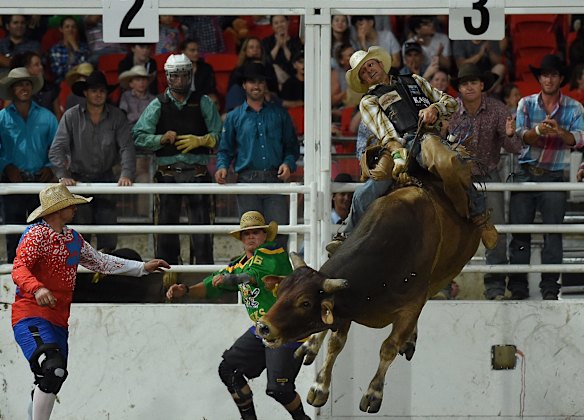Easter Show Rodeo