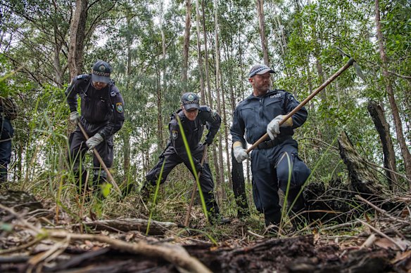 Police commence a large-scale forensic search in bushlands, Kendall as part of ongoing investigations into the 2014 disappearance of William Tyrrell. 