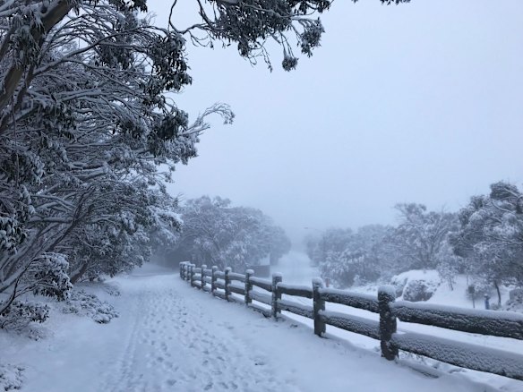 Snow on Friday morning at Mount Buller.