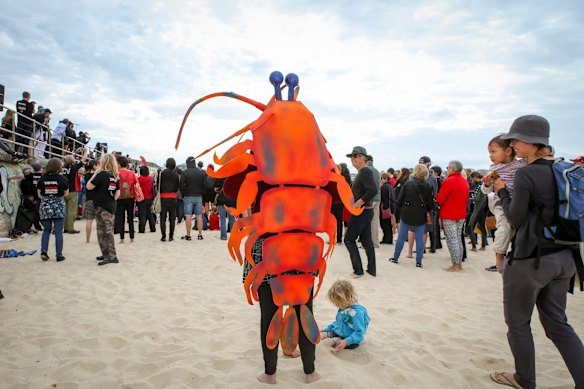 Claire Sives dresses up as a giant prawn and joins over 1000 people at Bondi Beach to protest against the Adani Coal Mine.