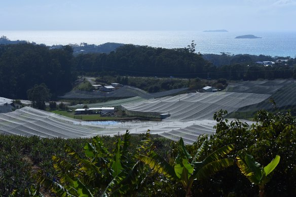 The Kororo Nature Reserve, near Coffs Harbour, has become "hemmed in" by intensive horticulture, particularly blueberries, cutting it off from other ecosystems. In the background is the part of the Solitary Islands Marine Park.