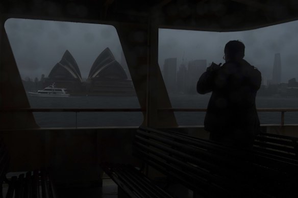 The Manly to Circular Quay ferry had to be a surreal experience for those brave enough to get on board.