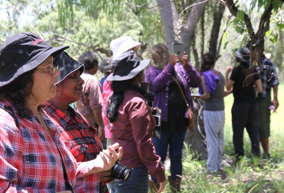 Walalangga students share cultural and environmental knowledge with community elders and local ranger groups, both in and out of the classroom.