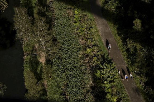 People exercise and walk their dogs in Cammeray.