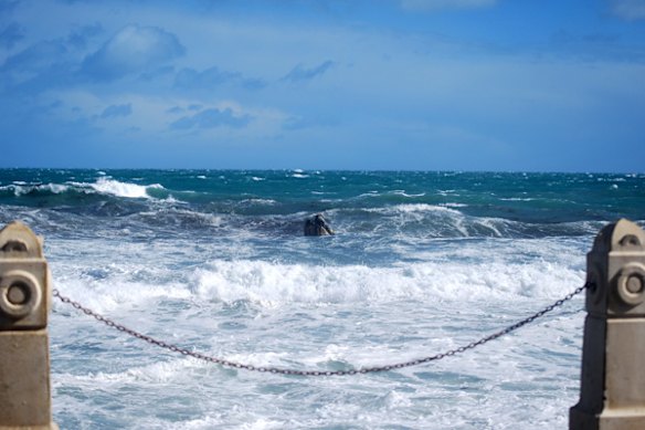 Cottesloe beach pylon toppled