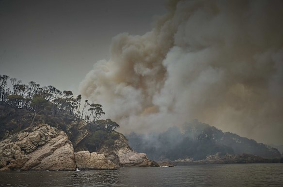 Smoke from the fire burning at Edron Bay Chip Mill, owned by Allied Natural Wood Exports in Eden.