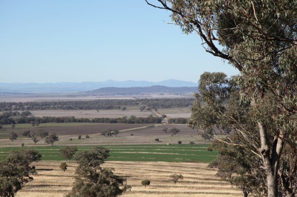 Shenhua will receive $100 million to leave the Liverpool Plains but local farmers say the battle against mining is not yet over.