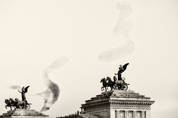 Black Sun #142, Rome.