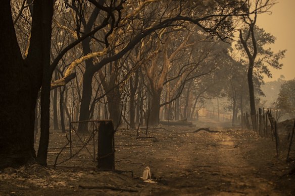 Wrights Creek fire has swept through Kyola Rd on the outskirts of Kulnura, west of the Central Coast.