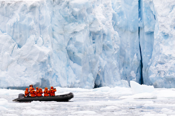 Explore Antarctica’s untouched wilderness.