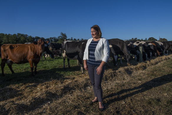 Labor candidate Fiona Phillips says the Shoalhaven has the lowest workforce participation rate in the country.