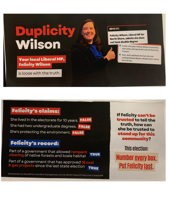 The flyer circulated in the seat of North Shore targets Liberal MP Felicity Wilson over six-year-old claims she misrepresented her background on her candidate nomination form.