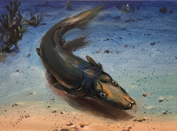 An artist's impression of an ancient Australian platypus-like fish named the Brindabellaspis. New fossils have allowed palaeontologists to piece together a picture of the strange fish, that had nostrils coming from its eye sockets and a long bill with jaws at the end.