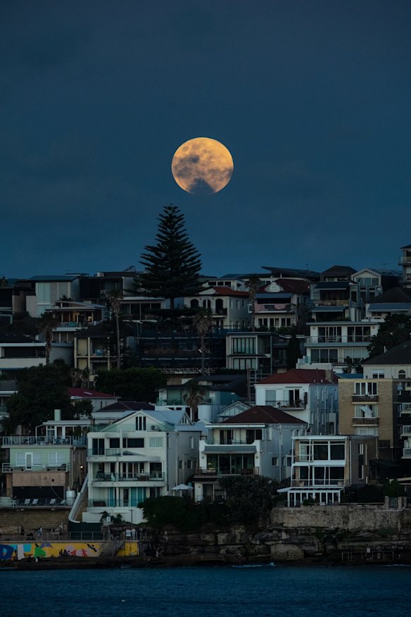 A blood moon rises above North Bondi on November 8, 2022. 