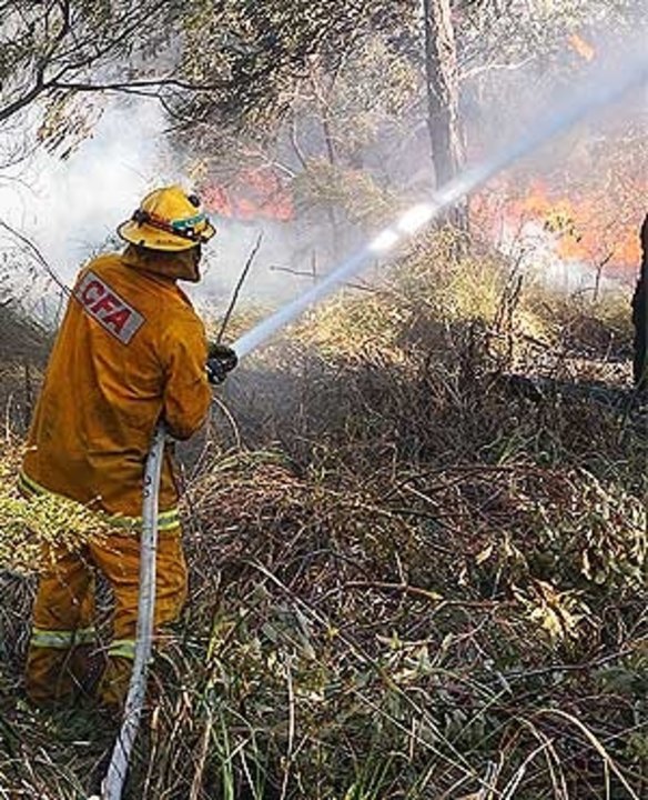 A CFA firefighter battles the Crib Point blaze on Monday. 