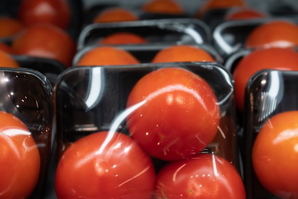 Tomatoes on non-recyclable black trays.