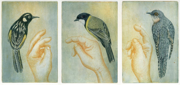 Kati Thamo - <i>Sign language with birds</i>, etching with watercolour, varied edition of 12 in <i>Another language</i> at Beaver Galleries. 