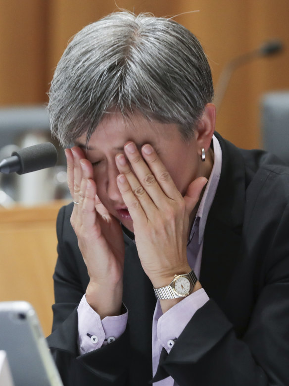Penny Wong during a Senate estimates hearing earlier this year.