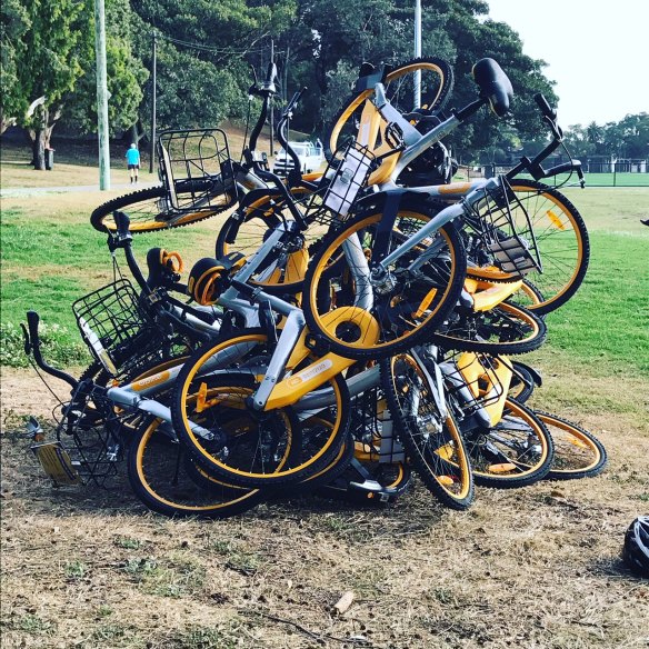 Bike-share bikes dumped in Waverley Oval last year.