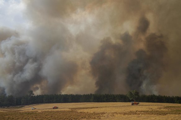 A forest fire between Tooma and Tumbarumba, NSW on the 10th January recording the merging of two fires either side of the VIC and NSW border creating a mega fire.