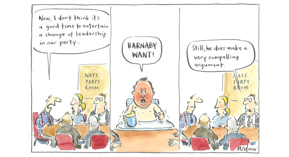 Canberra Times editorial cartoon 