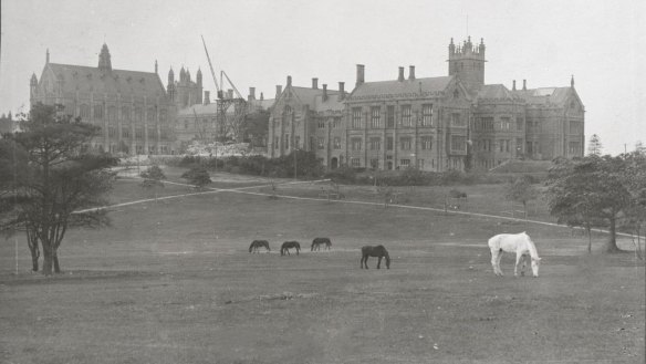 An early photograph of the University of Sydney at Camperdown. While inaugurated in 1852, the institution moved from College Street to its current site in 1859.